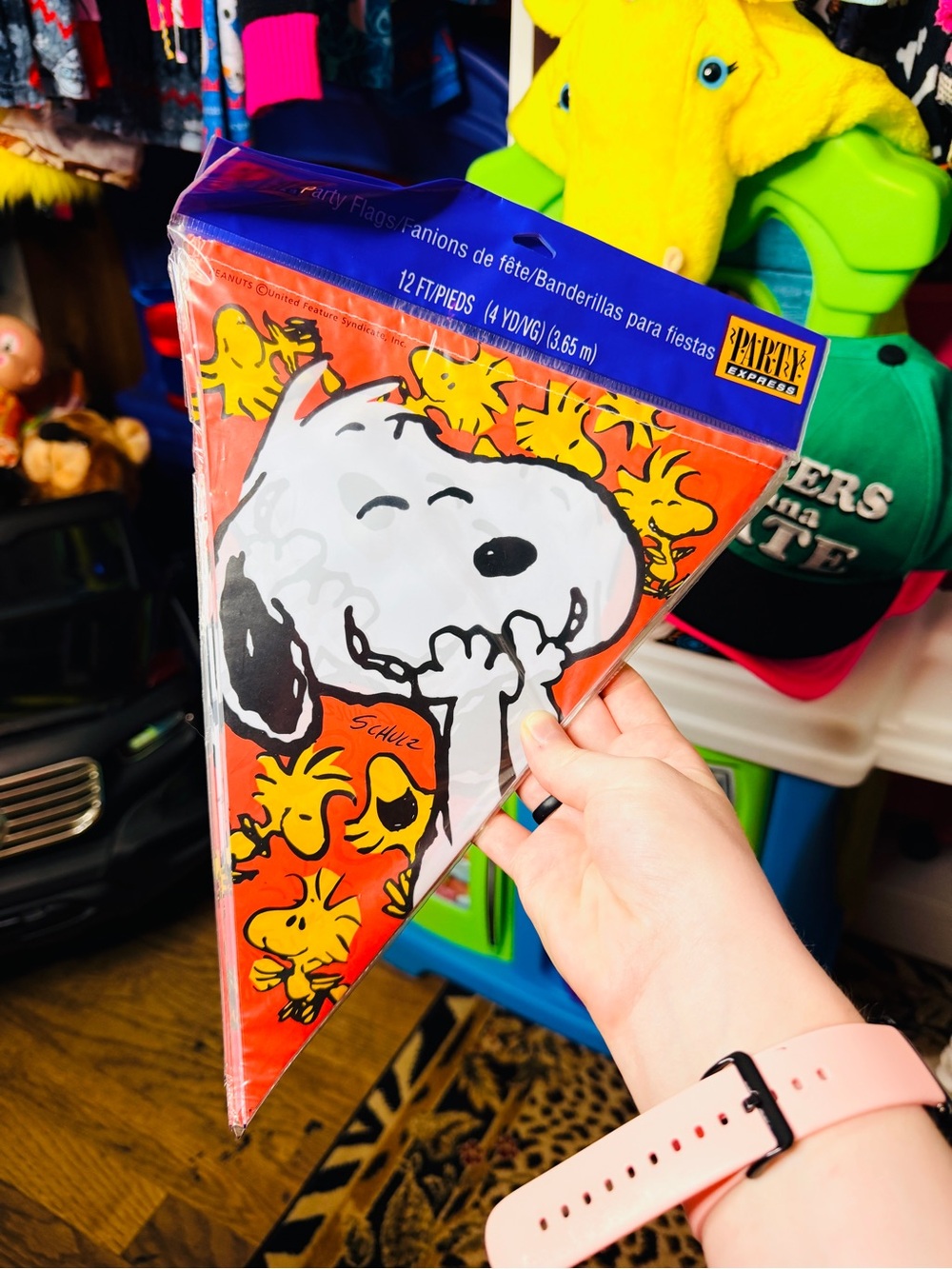 Peanuts Party Pennant Banner